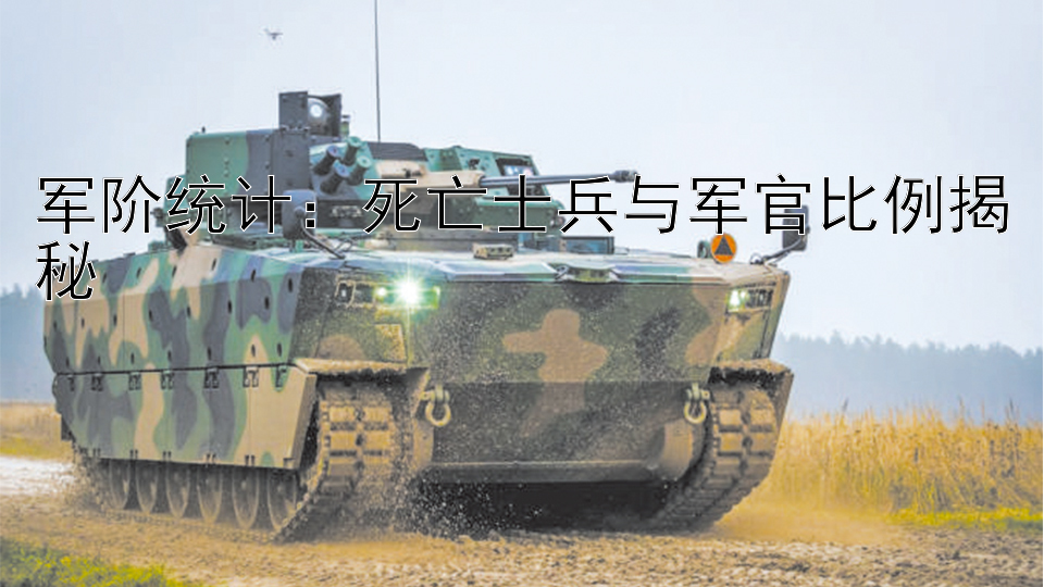 军阶统计：死亡士兵与军官比例揭秘